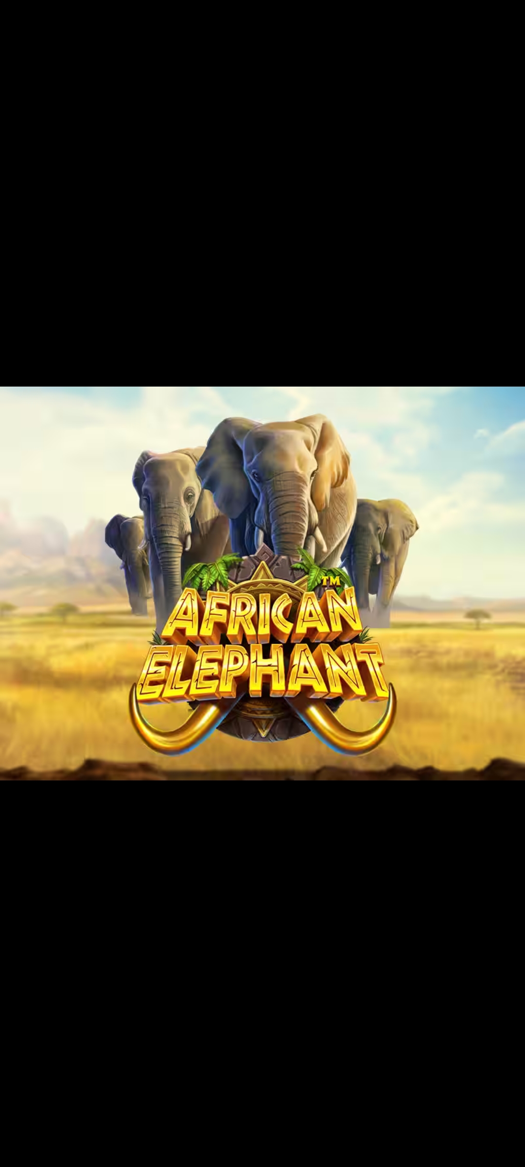 African Elephant